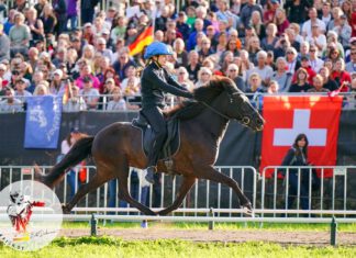 Rocket girls in action! – Die ersten beiden WM-Tage