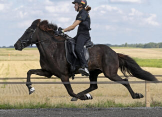 Interview mit Lisa Ortuno Stühring zur WM