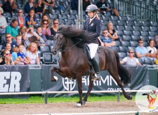 WM: Frauke führt im Viergangpreis!