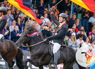 WM Finaltag lässt Nordlichter glänzen