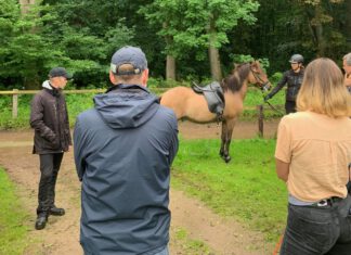 Zukunft Zucht – offener Trainingstag auf Godemoor