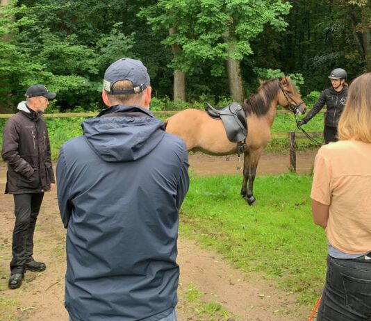 Zukunft Zucht – offener Trainingstag auf Godemoor