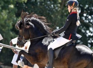 Interview mit Lena Becker zur WM