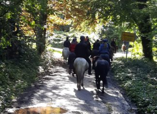 3. Oktober – Nord reitet aus – Holsteinische Schweiz