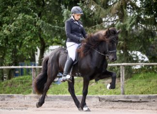 Vereins- und Norddeutsche Meisterschaften in vollem Gange