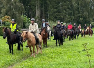 Nord Reitet aus: Verwunschene Wälder und wunschlos glückliche ReiterInnen