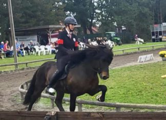 NORD-Reiter rocken die Niedersachsenmeisterschaft