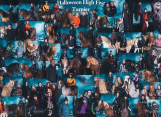 Halloween High Five Turnier