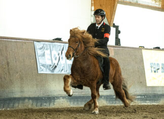 EYJA Winter Warm Up in Buchholz