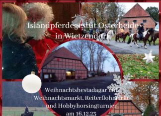 Weihnachtshestadagar auf Osterheide