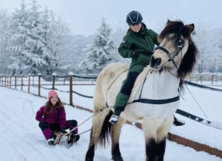 Frohe Festtage und einen guten Rutsch!