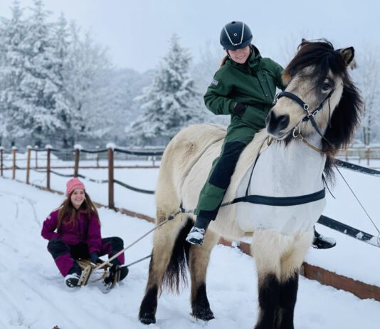 Frohe Festtage und einen guten Rutsch!