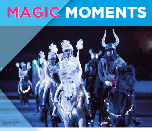 Körung und Norddeutsche Hallenmeisterschaft der Islandpferde in den Holstenhallen