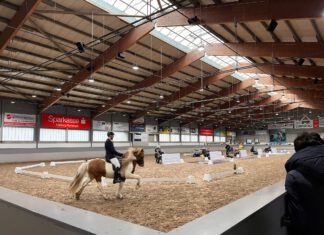 Viking Masters Luhmühlen