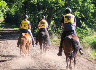 Laxnes Distanzritt #1 verschiebt sich um eine Woche