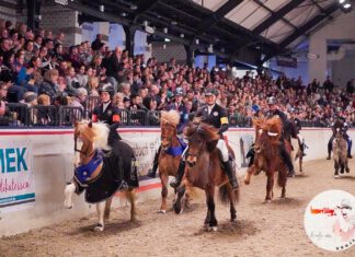 Unser Saisonauftakt in Neumünster