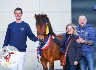 Hengstkörung in den Holstenhallen