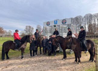 Rennpasstraining auf Norderheide