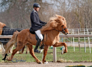 Tremsbüttel: Taktklar in den Frühling