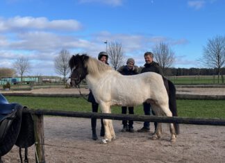 Erweitertes Zukunft Zucht Team 2024