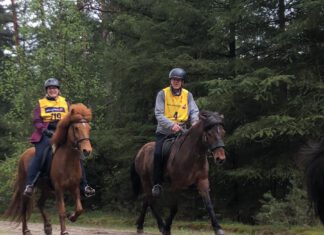 Ausschreibung für den Laxnes Distanzritt #1