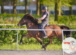 ZZ Team erfolgreich auf FIZO Verden