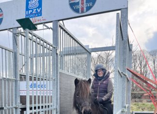 Startbox für Passtraining auf Heesberg