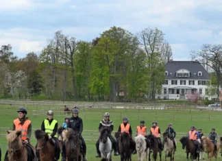 Nord reitet aus: Besuch auf dem Immenhof