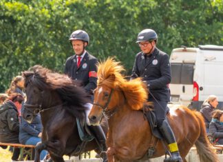 Ein Wochenende – drei Turniere