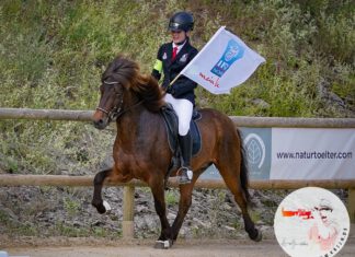 DJIM Samstag: der Tag der B-Finale