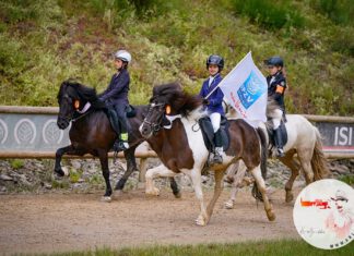 DJIM 2024: Der Final-Sonntag