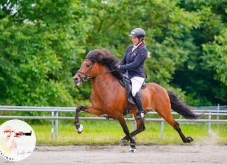 OSI Lingen mit internationalem Starterfeld