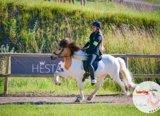 DJIM Freitag – weniger heiss, Nord wieder stark