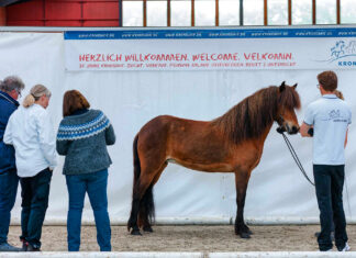 IPZV Nord richtet FIZO auf dem Kronshof aus