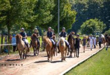 Jugend- und Breitensportfestival 2025 auf Norderheide