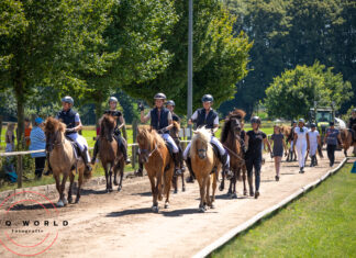Jugend- und Breitensportfestival 2025 auf Norderheide