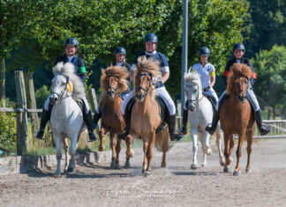 Heißes Jugend- und Breitensportfestival 2024