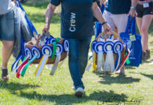 Buntes Wochenende: Jugend- und Breitensportfestival auf Heesberg