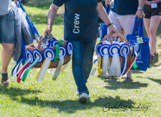 Buntes Wochenende: Jugend- und Breitensportfestival auf Heesberg