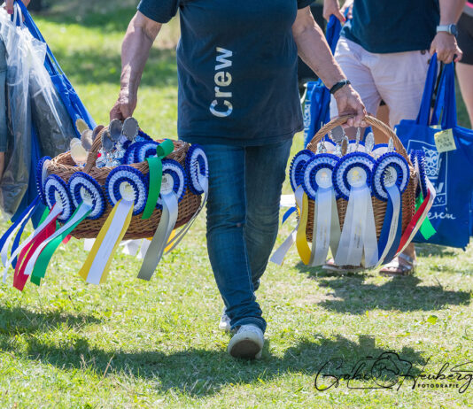 Buntes Wochenende: Jugend- und Breitensportfestival auf Heesberg