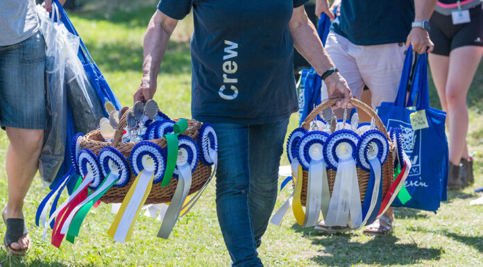 Buntes Wochenende: Jugend- und Breitensportfestival auf Heesberg