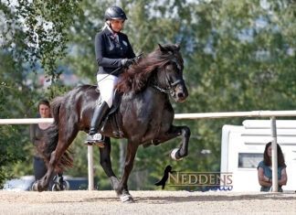 DIM Tag 2: Viergangpreis vom Feinsten