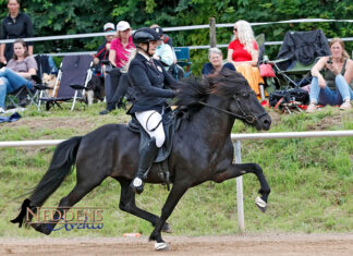 DIM Tag 3: Fünfgang am Freitag