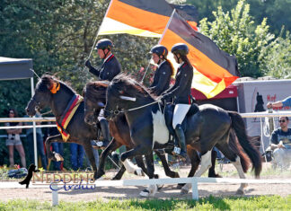 DIM Sonntag: Starke Finale und Gold für den Norden