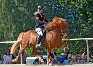 Interview mit Lilja Thordarson