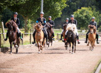 Norderheide OPEN 2024