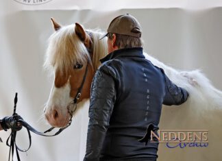 10.4. Gebäudereise und Zuchtvortrag auf Tremsbüttel