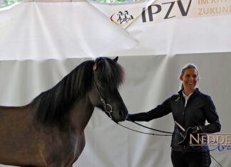 FIZO mit internationalem Starterfeld