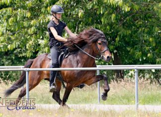 Zeitplan + Starterlisten FIZO Ellringen 26.-28.8.