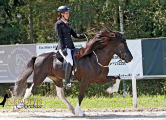 MEM 2024 – Gold, 3x Silber, 2x Bronze + Feather Prize